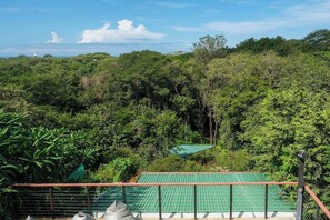 A lush green landscape with dense foliage and a clear sky. - Casa Siempre Verde Ocean View (Nosara)