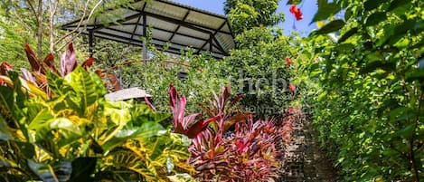 A garden pathway leading to a covered structure with a metal roof.