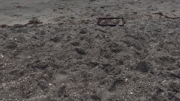 A beach with a drainage grate in the foreground and a cloudy sky above.