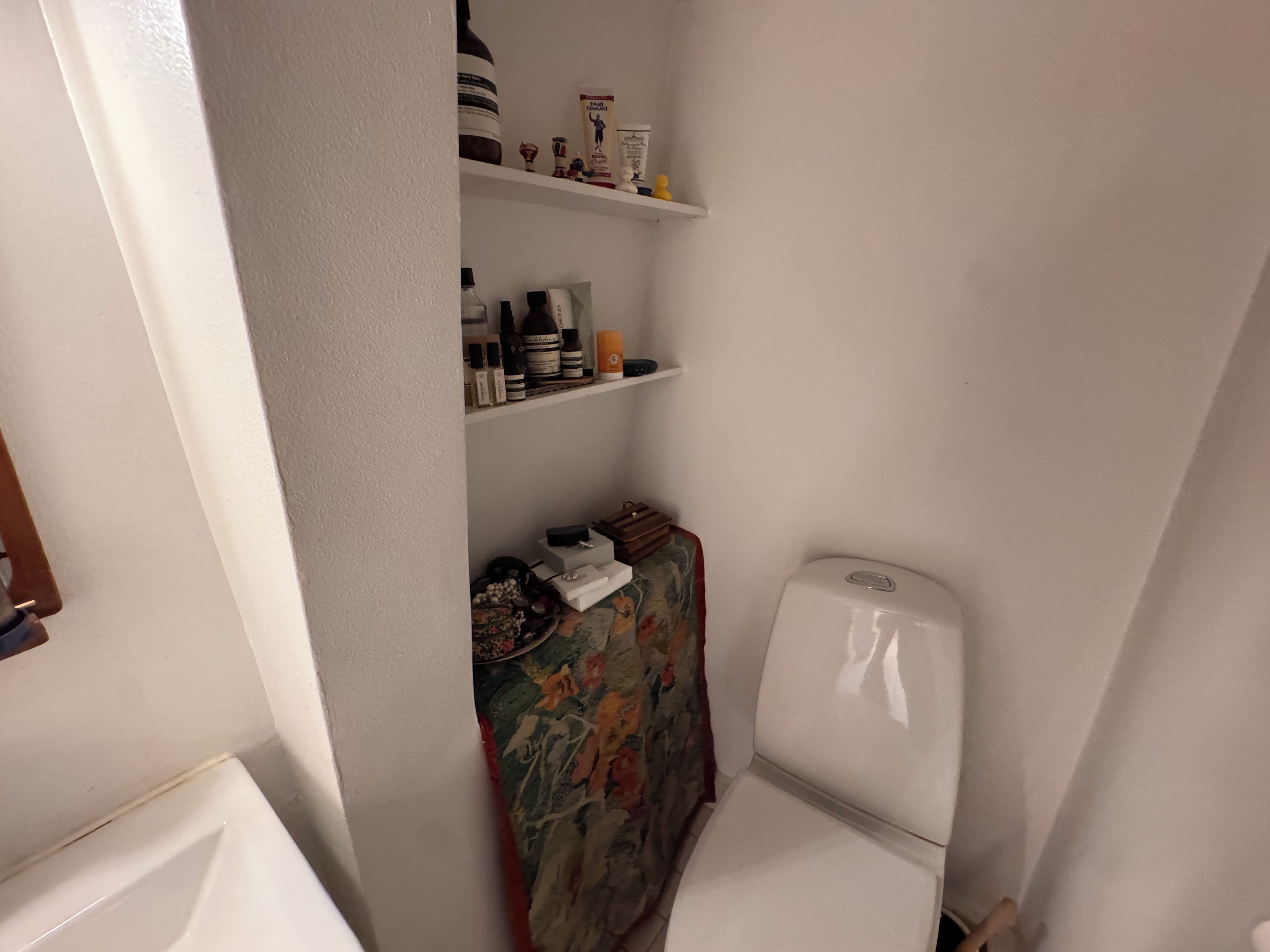 A small bathroom with a toilet, a shelf with toiletries, and a decorative rug.