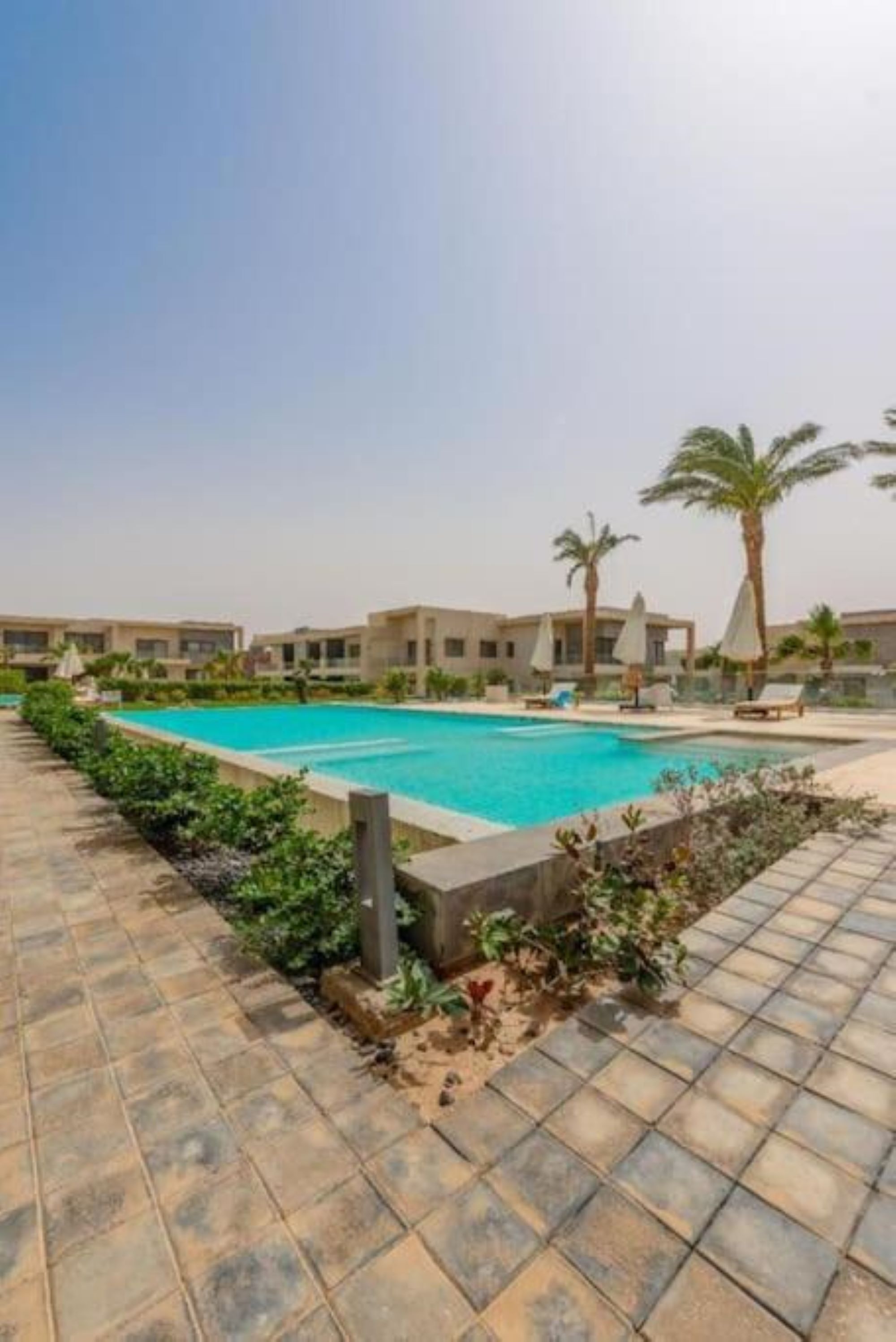 A swimming pool with a tiled deck, palm trees, and a building with multiple windows in the background.