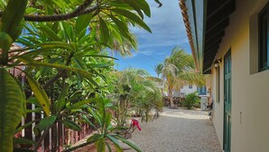 Un chemin menant à un bâtiment dont le sol est recouvert de gravier, entouré d’une végétation luxuriante et de palmiers.