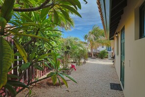 A pathway leading to a building with a gravel ground, surrounded by lush greenery and palm trees. - Coco Cottage Tropical 1BR Near Palm & Eagle Beach (Noord)