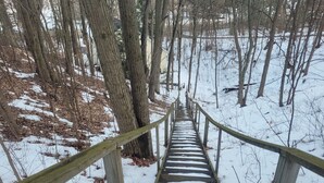 A wooden staircase leading into a snowy forest.