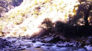 Une rivière qui traverse un paysage rocheux, avec des arbres qui bordent ses rives.