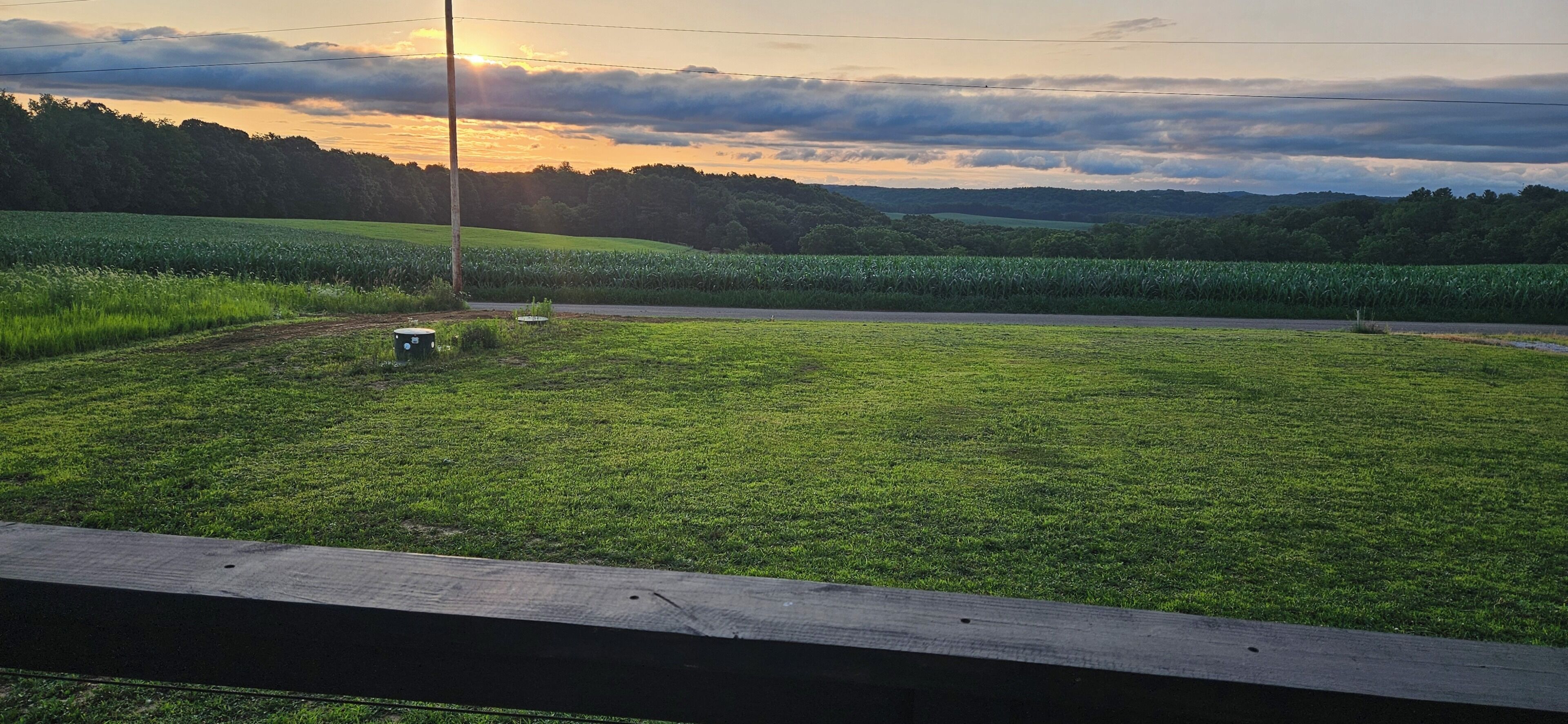 A grassy field with a road and a utility pole.