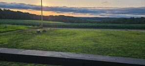 A grassy field with a road and a utility pole.