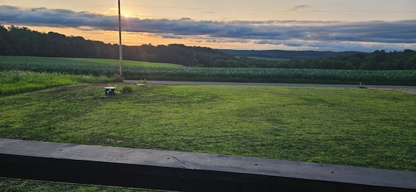 A grassy field with a road and a utility pole.