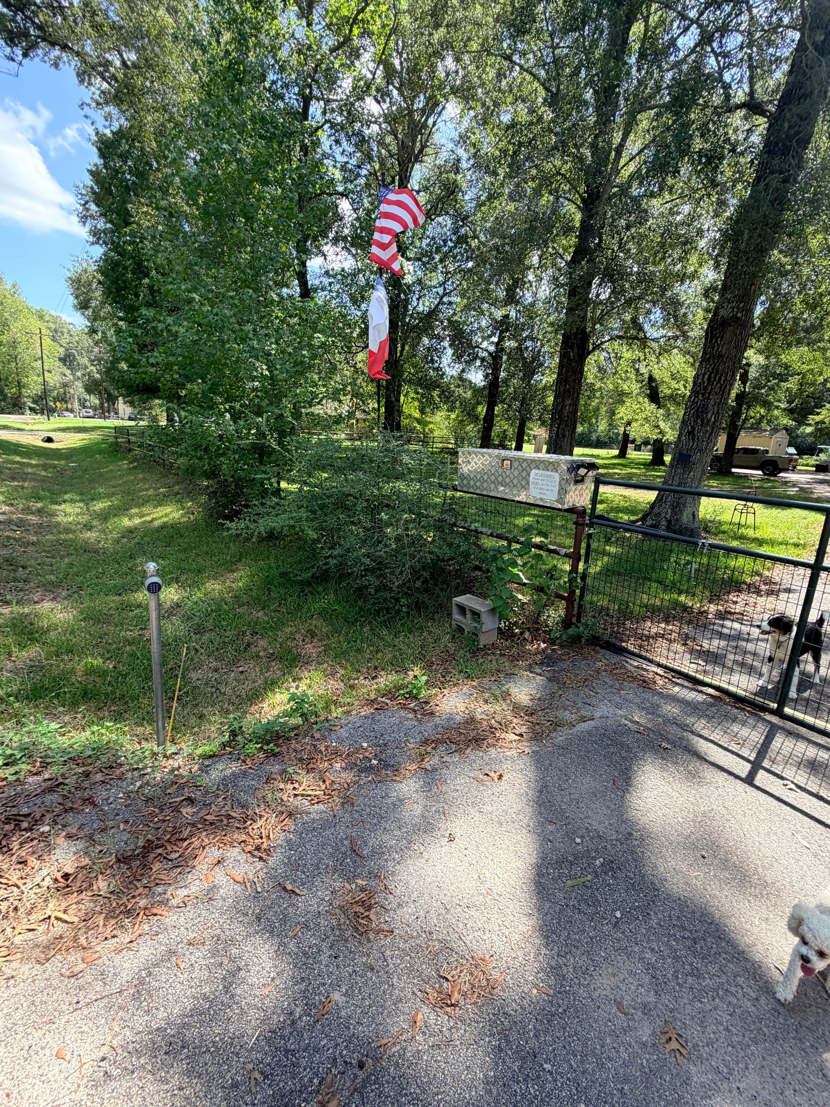 Un espace vert clôturé avec un chien, des arbres et un drapeau.