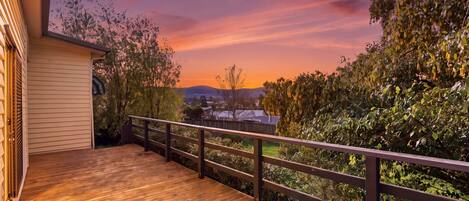 A wooden deck with a metal railing, overlooking a garden with various plants and trees.