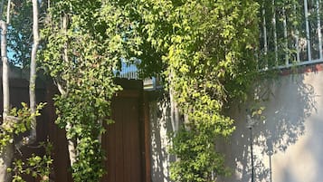 A garden with a wooden fence, a brick border, and a metal gate.