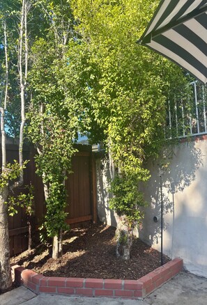 A garden with a wooden fence, a brick border, and a metal gate.