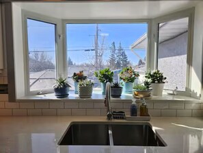 A kitchen with a double sink, potted plants on the windowsill, and a view of the outside.