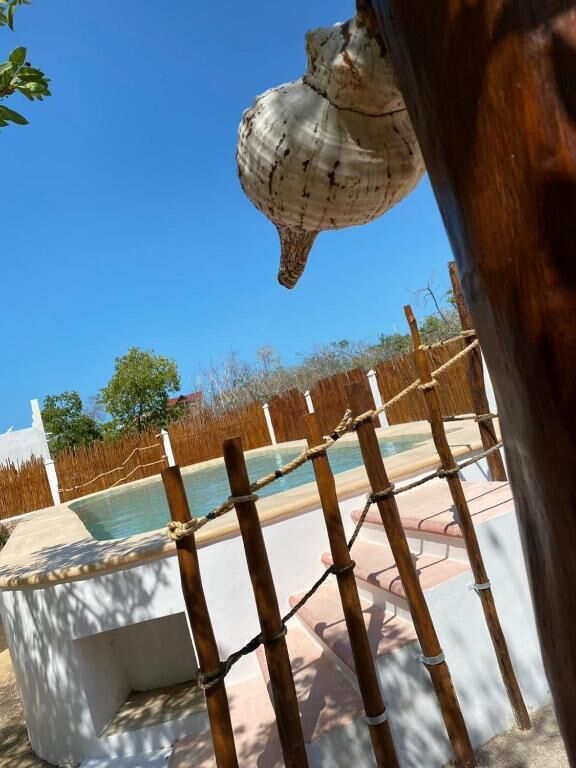Piscina externa