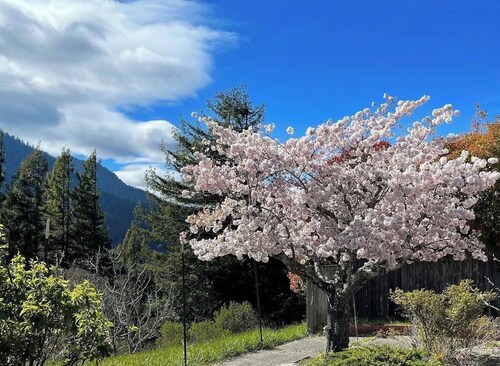 Redwood Ranch Retreat | Near Avenue of the Giants