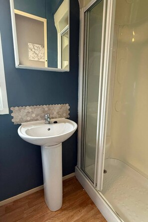 Ein Badezimmer mit einem Standwaschbecken, einer Dusche mit Glastür und einem an der Wand montierten Spiegel.