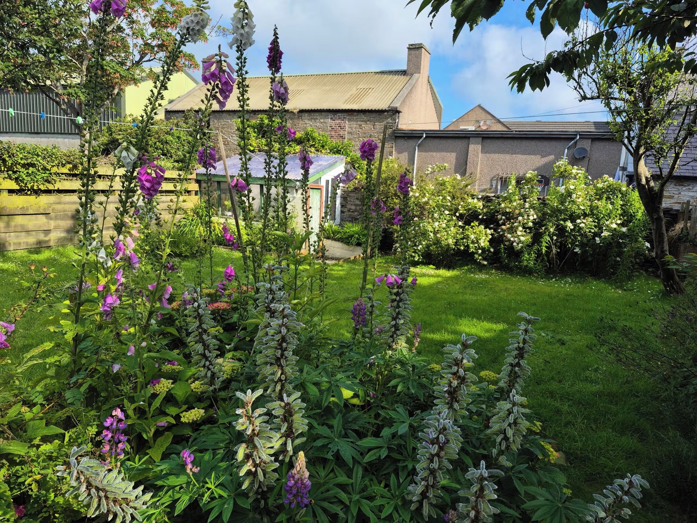 A garden with various plants and flowers, a brick house, and a clear sky.