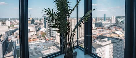 A potted plant on a windowsill with a cityscape view.