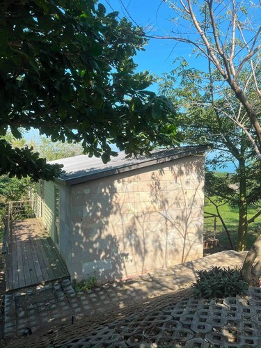 Casa Sofia, Veracruz Day