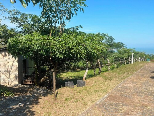 Casa Sofia, Veracruz Day