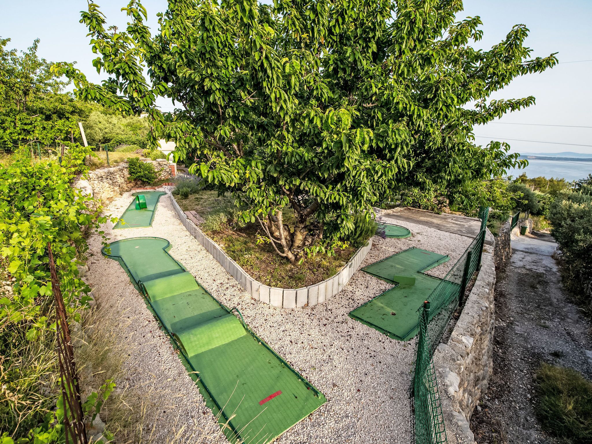 Un campo de golf con varias zonas verdes y un árbol grande en el centro.