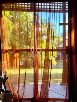 A window with sheer curtains, a cactus plant, and a view of a lawn and trees.