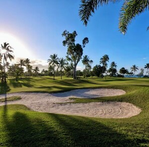 Un campo de golf con búnkeres de arena y palmeras.