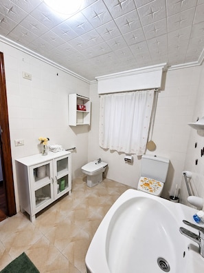 Een douche, een haardroger, een bidet, handdoeken