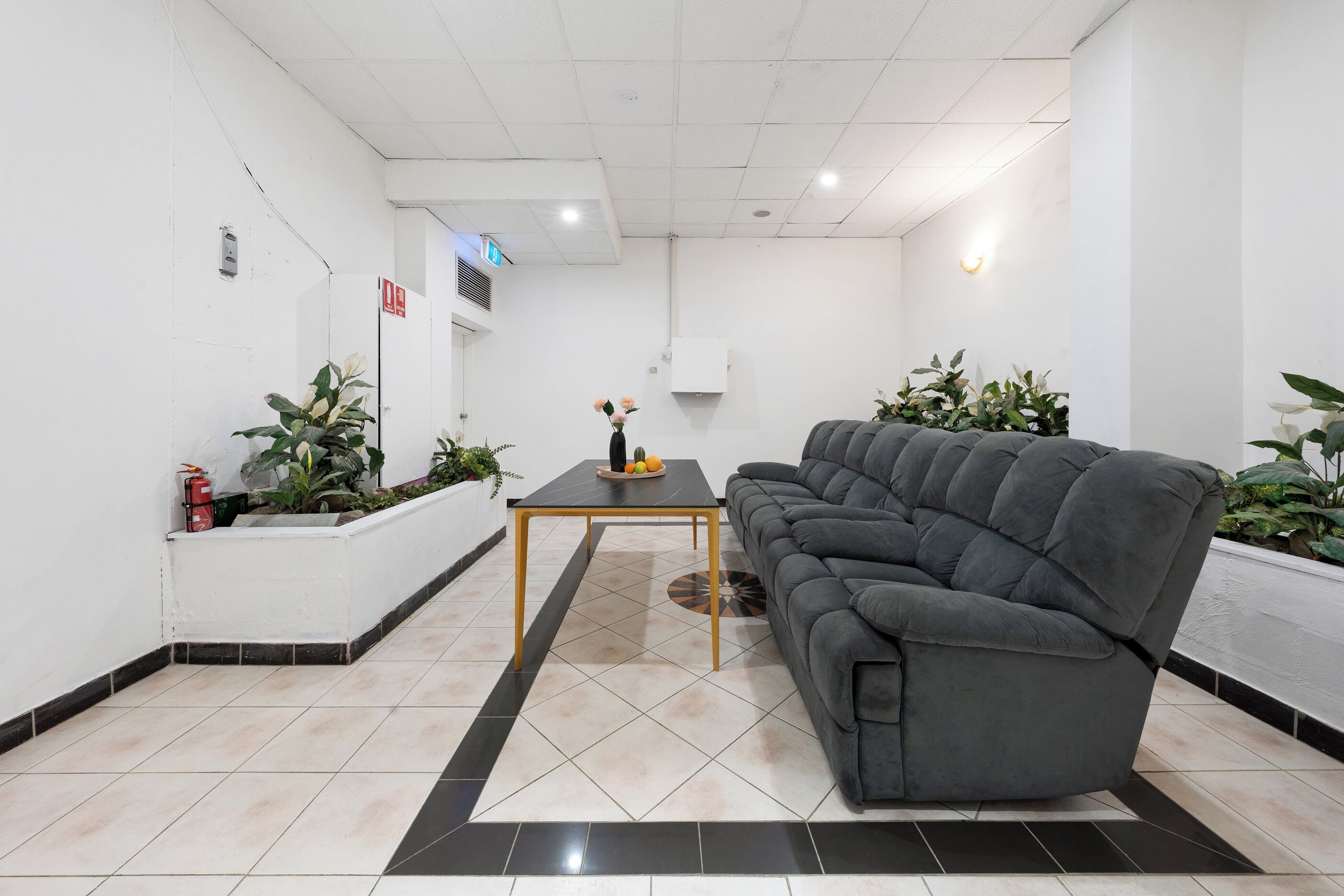 A modern living room with a grey sofa, a small table, and potted plants.