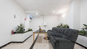 A modern living room with a grey sofa, a small table, and potted plants.