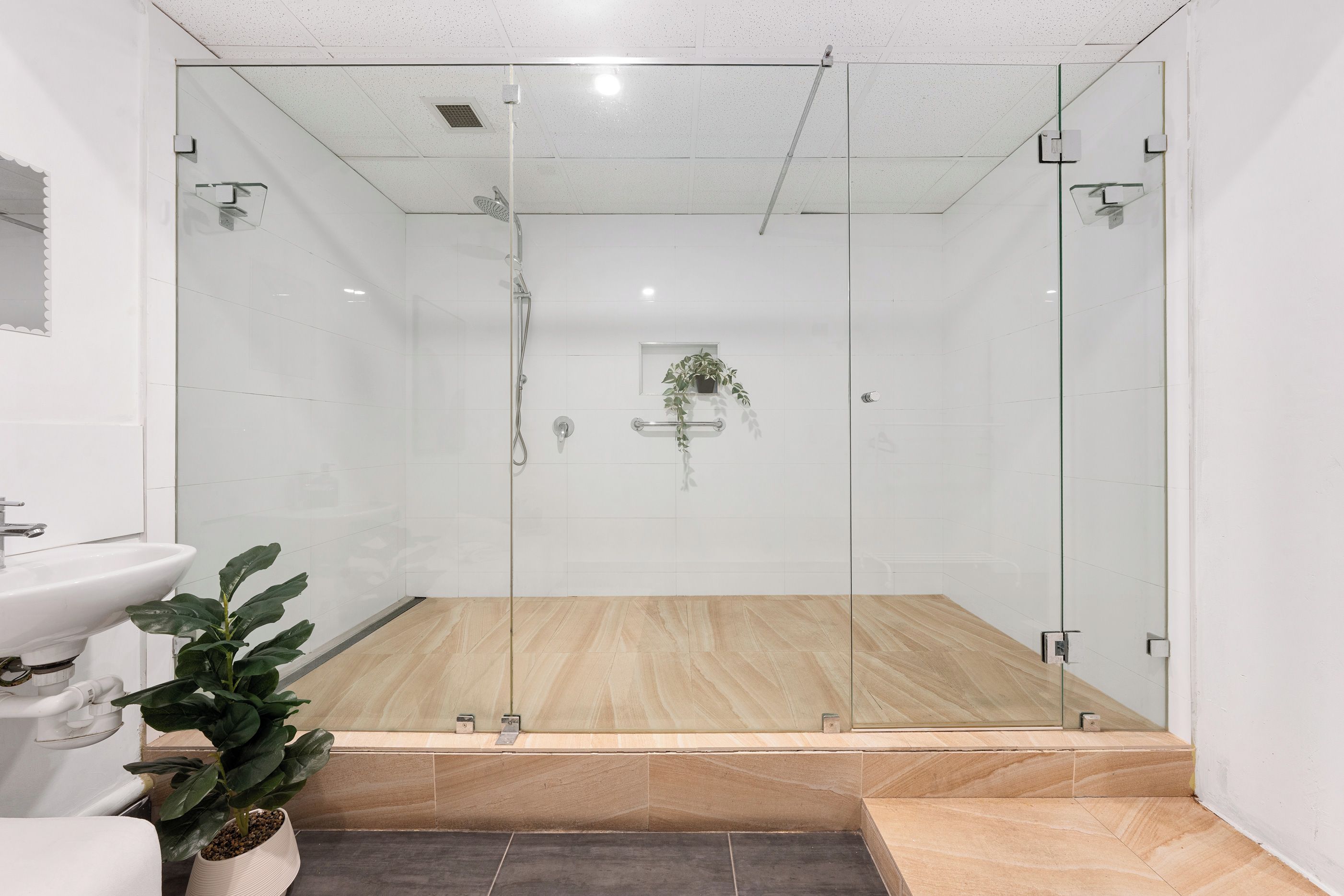 A modern bathroom with a glass-enclosed shower, a sink, and a potted plant.