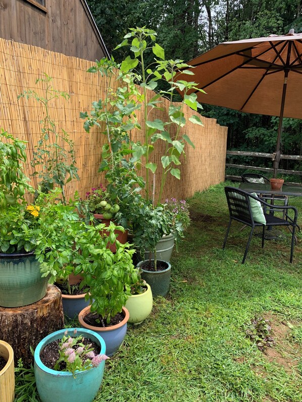 A garden area with potted plants, a wooden fence, and outdoor furniture.