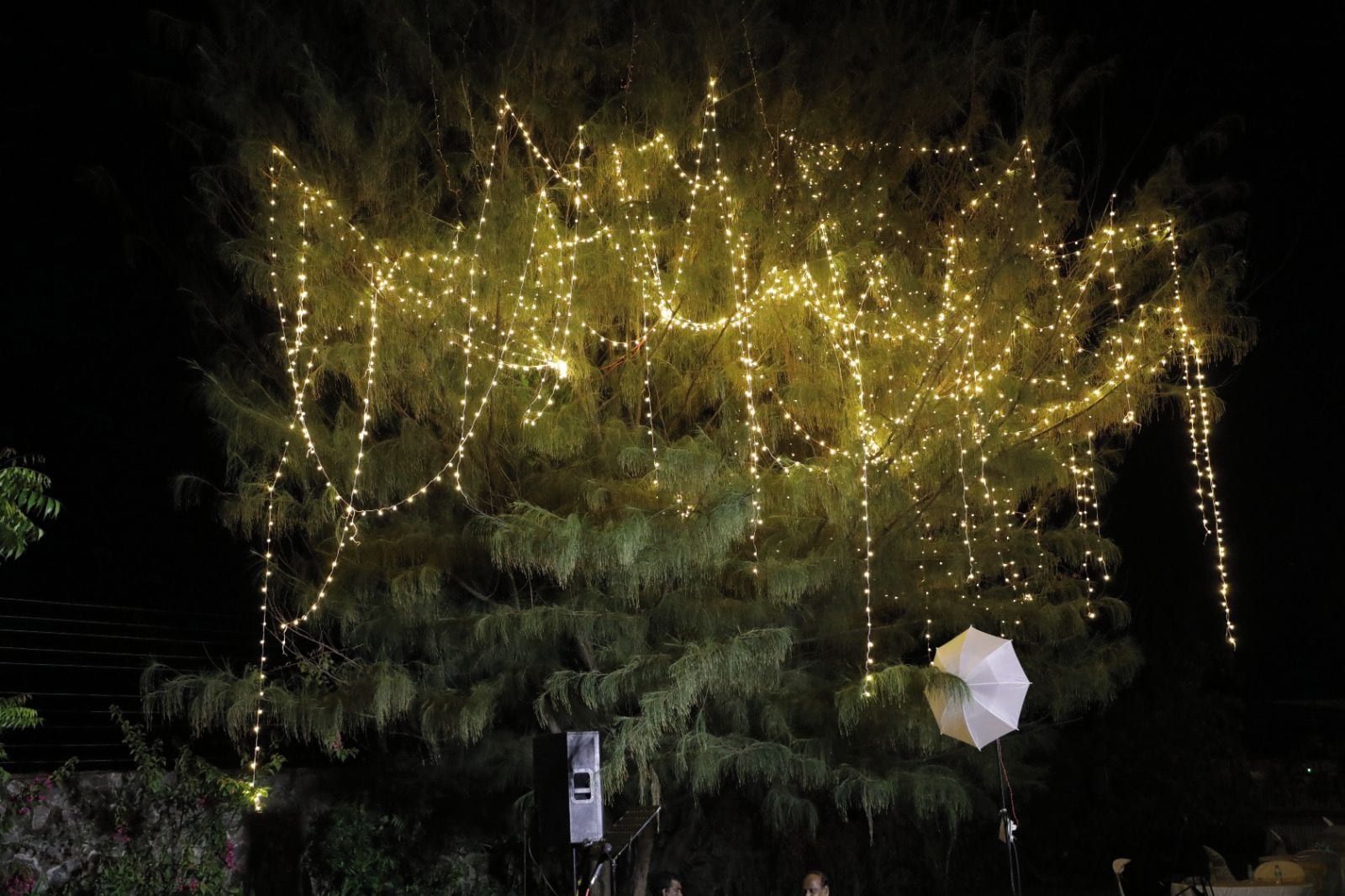 A tree adorned with string lights, a speaker, and a white umbrella.