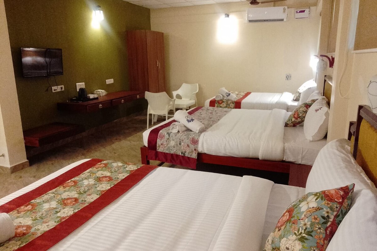 Deluxe Twin Room, Pool View | Desk, laptop workspace, WiFi (free)