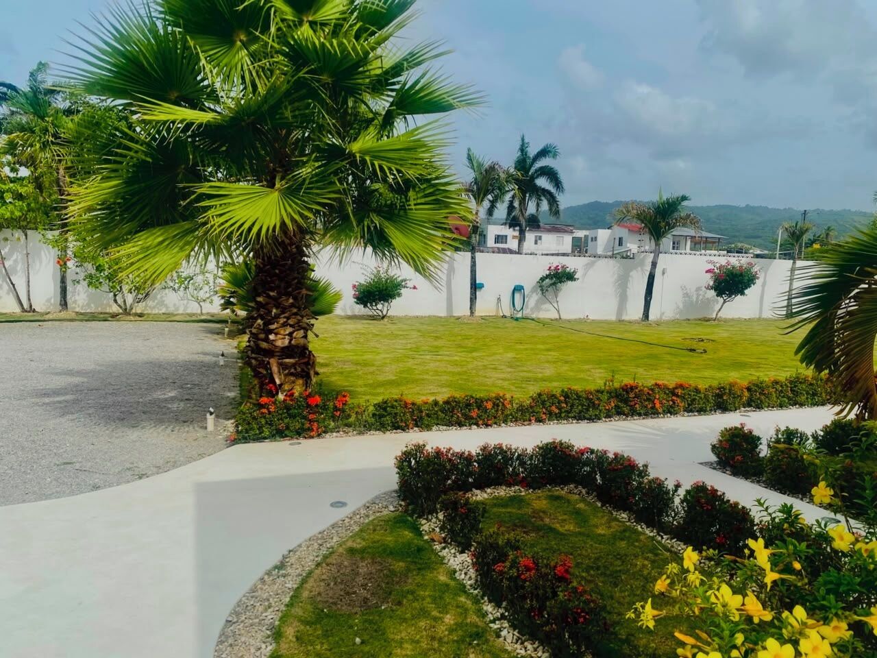 Un jardín arbolado con palmeras, un sendero y un edificio blanco al fondo.