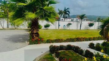Un jardín arbolado con palmeras, un sendero y un edificio blanco al fondo.