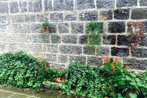 Muro de piedra con plantas en macetas y follaje.