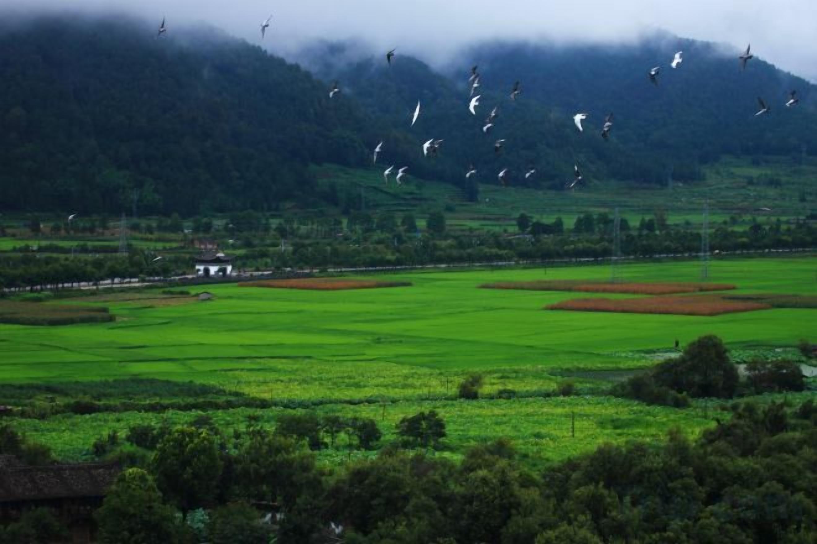 منوع