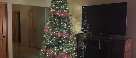 Smart TV, fireplace, DVD player