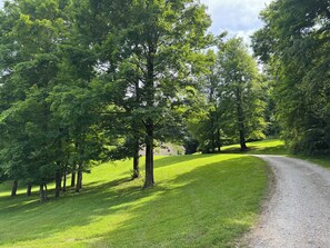 A gravel path winding through a grassy area with trees on both sides. - Welcome to Sherwood Forest in the heart of Ohio! (Newark)