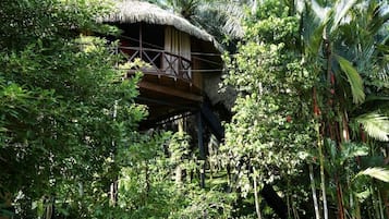 Habitación doble superior, vistas al jardín | Exterior