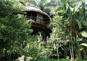 Superior Double Room, Garden View | Exterior - Huma Terra Lodge (Hikkaduwa)