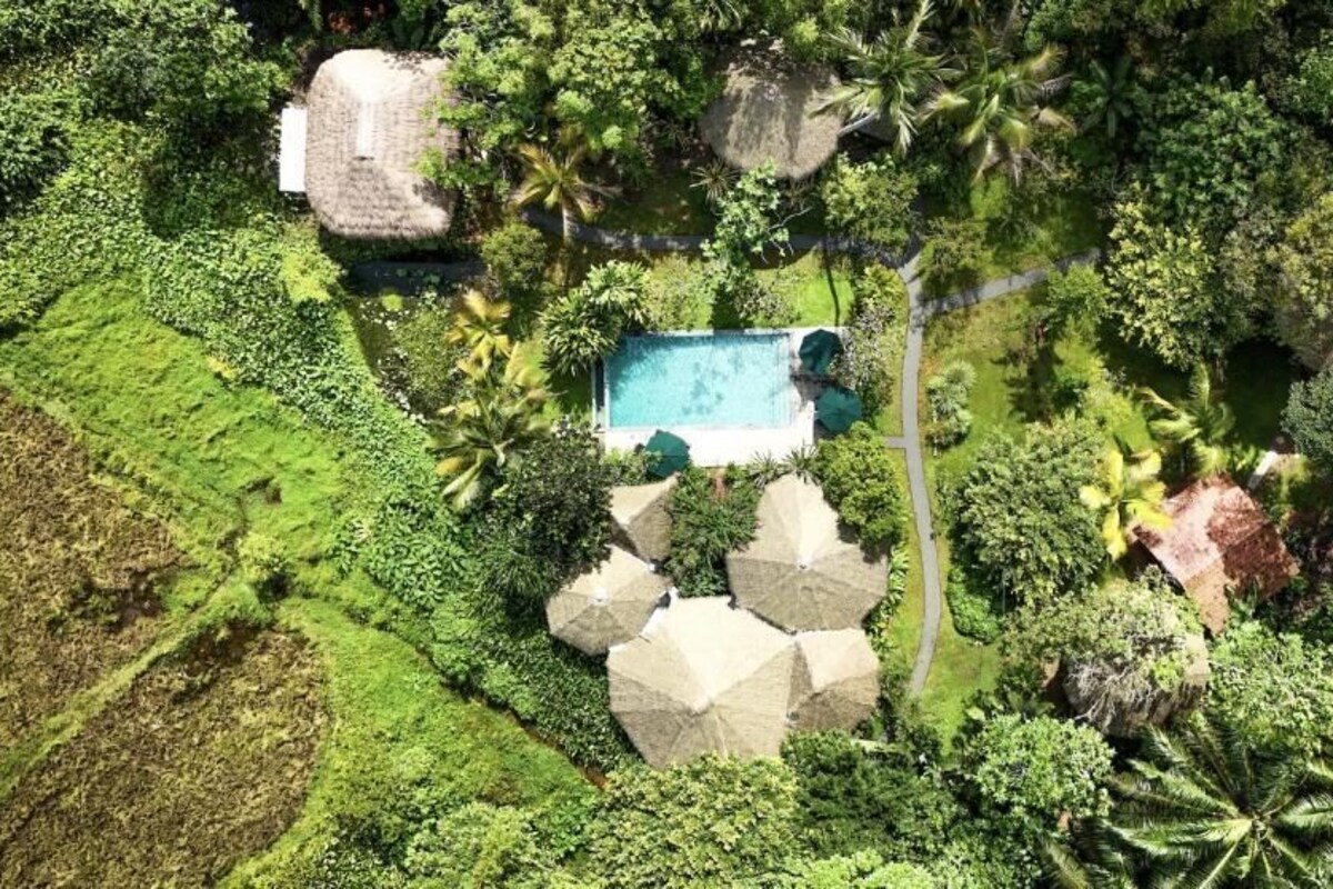 Family Room, Balcony, Garden View | Garden view