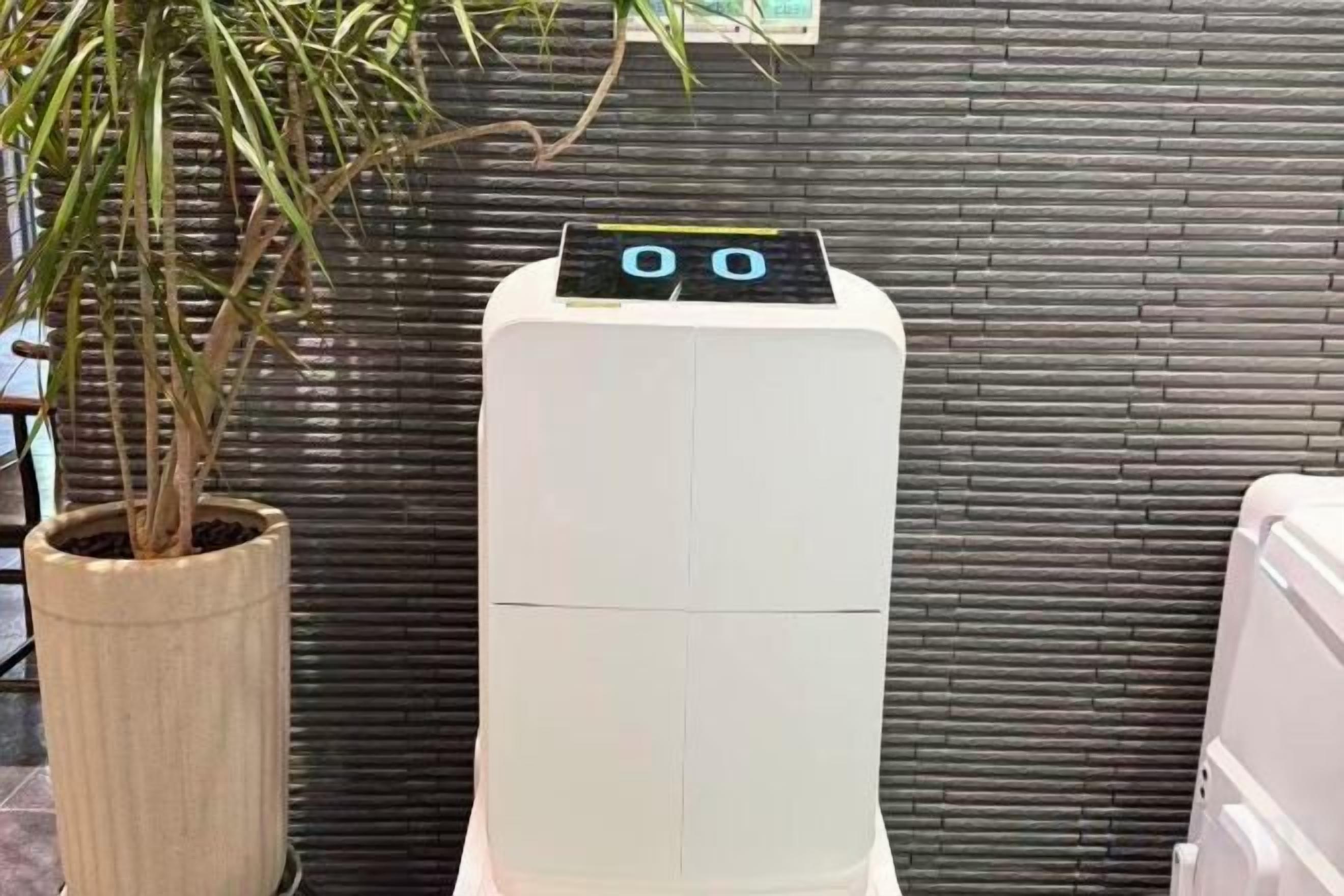 A white water heater with a digital display, a potted plant, and a tiled wall in the background.