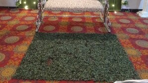 A room with a patterned carpet, a decorative chair, and a floral backdrop with string lights.