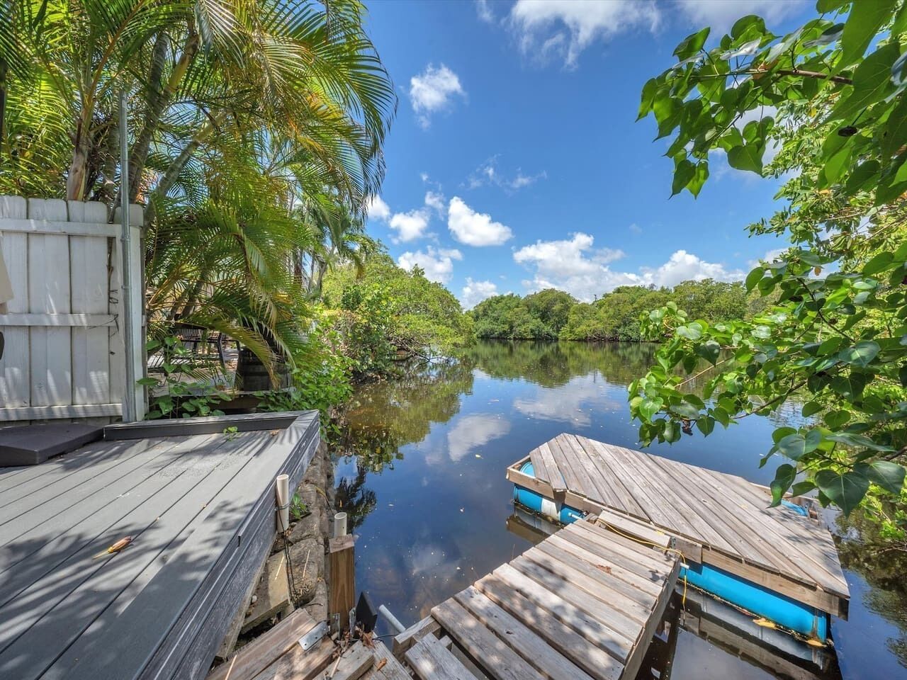 A wooden dock extending into a calm body of water, surrounded by lush greenery and a clear sky.