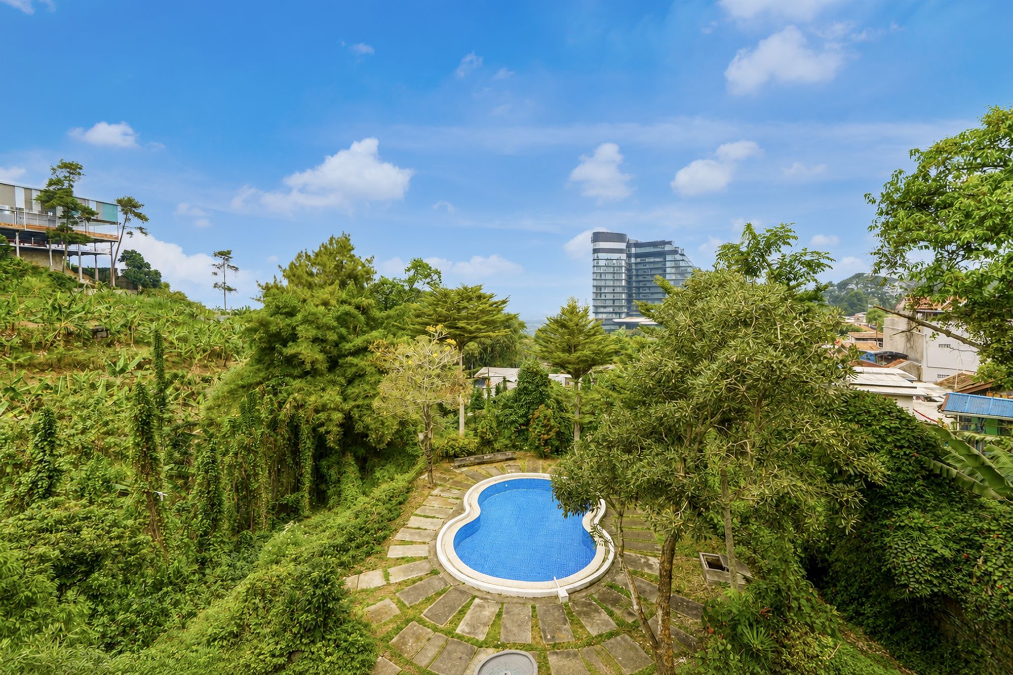 A swimming pool surrounded by lush greenery, with a modern building in the background.