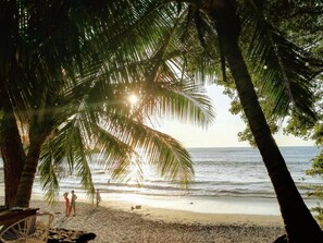 Ein Strandbild mit Palmen und Blick auf den Ozean.