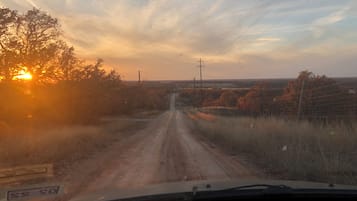 Un camino de tierra que atraviesa un paisaje rural con árboles y líneas eléctricas.