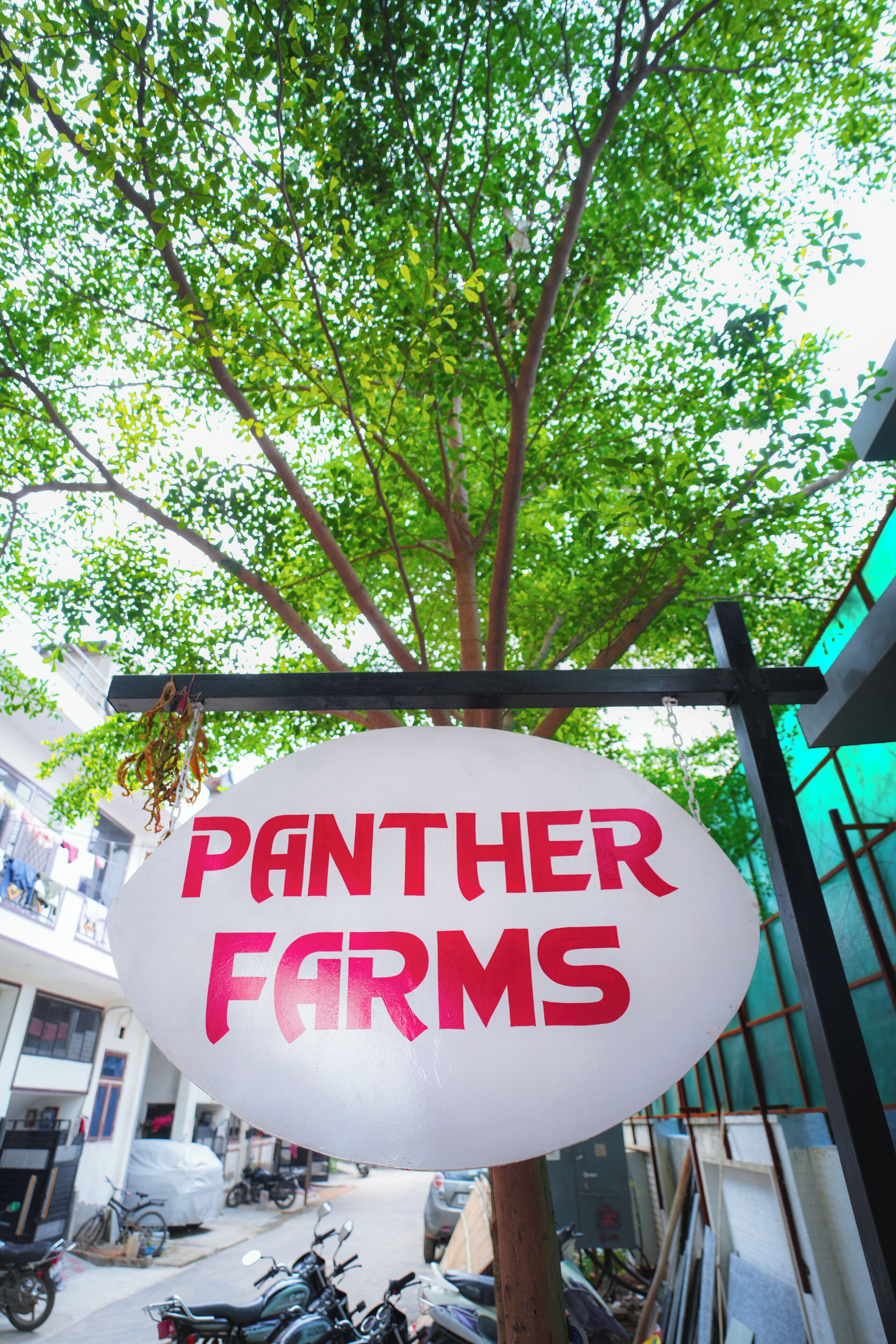 Skilt med 'Panther Farms' hænger i et træ.